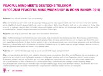 Peaceful Mind Workshop Dt Telekom4